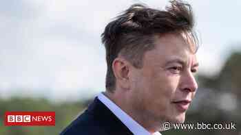 Tesla: Elon Musk ‘rather hates’ being company boss