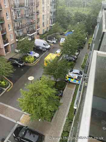 10-year-old girl among victims injured in Colindale 'acid attack'