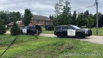 Two adults, 3 children suffer serious to life-threatening injuries after fire pit incident near London, Ont.