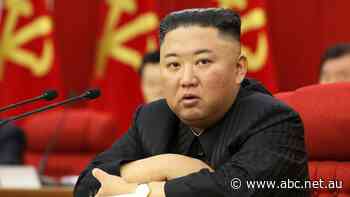 As food shortages loom, Kim Jong Un is hoping his shrinking waistline will keep him in power 