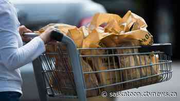 'We have a throw away culture': Prince Albert bans plastic bags