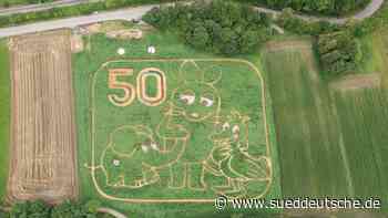 Utting am Ammersee: Das Labyrinth mit der Maus - Süddeutsche Zeitung