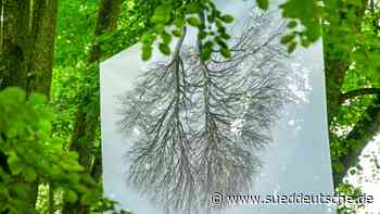 Die Luft zum Atmen - Süddeutsche Zeitung