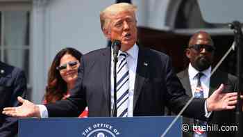 Trump said whoever leaked information about stay in White House bunker should be 'executed,' author claims