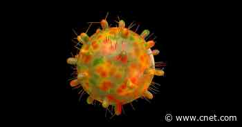 New lambda variant of COVID: What you should know     - CNET