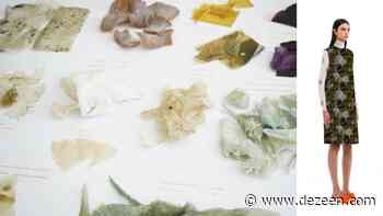 IE University Spain presents 10 architecture and design projects - Dezeen