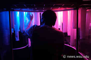 Project receives top award in international architecture competition | WSU Insider | Washington State University - WSU News