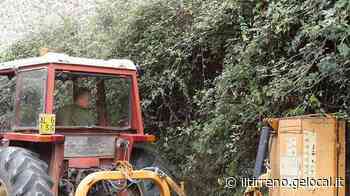 Riparte oggi il piano di taglio dell’erba Ecco il calendario - Il Tirreno