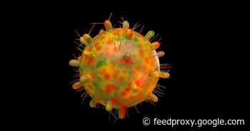 New lambda variant of COVID: What you should know     - CNET