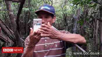 Climate change: Technology boosts efforts to curb tree loss in Amazon