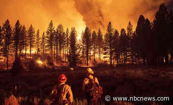 This could be our worst wildfire season ever. Covid is one reason why.