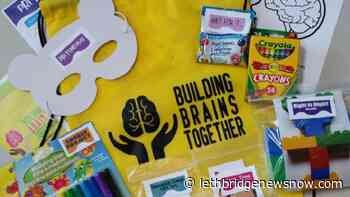 Building Brains games keeping education going for children during the summer - Lethbridge News Now