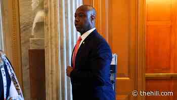 Scott sets July deadline for passing police reform | TheHill - The Hill