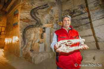 Mosasaurus Bartje woont voortaan in grotten van Kanne - Het Belang van Limburg