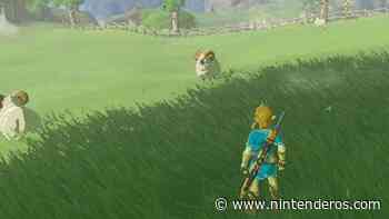 Este jugador descubre un adorable detalle de las ovejas de Zelda: Breath of the Wild - Nintenderos.com