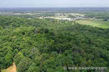 Planning commission denies trio of rezoning requests at Markham Hill in Fayetteville - Northwest Arkansas Democrat-Gazette