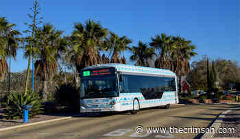 Cannes Par Jour: Days 4 & 5 | Arts - Harvard Crimson