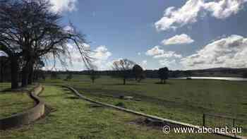 Coal jobs, millions in wages against 'green' wineries and cow paddocks: Southern Highlands coal mine decision looms