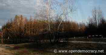 Climate change, war and forest fires in eastern Ukraine - Open Democracy