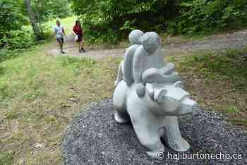 Haliburton Sculpture Forest offering free tours over the summer - Haliburton County Echo