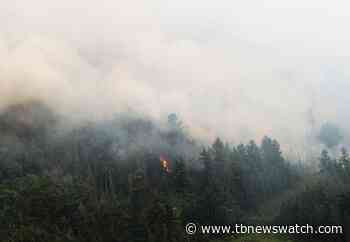 Nine new forest fires in Northwestern Ontario - Tbnewswatch.com