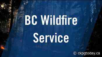 Crews respond to wildfire near Ancient Forest - CKPGToday.ca