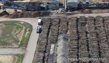 The science of forest biomass: Conflicting studies map the controversy - Mongabay.com