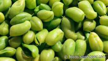 Phytoestrogen and specific gut bacteria may hold key to MS treatment