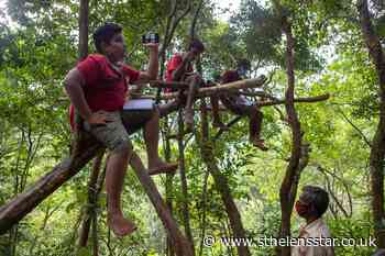 Children in Sri Lanka climb trees to access online school - St Helens Star