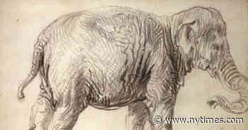 When Rembrandt Met an Elephant