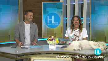 HOUSTON LIFE: July 13, 2021 - KPRC Click2Houston