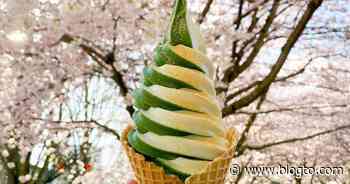 Only Toronto location of matcha soft serve chain closing for good - blogTO