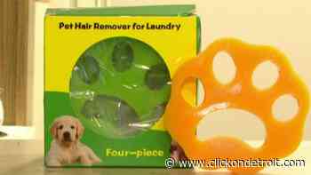 Will this laundry gadget help shed your pet fur problem? - WDIV ClickOnDetroit