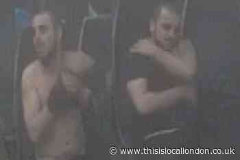 Hither Green: Shirtless man sexually assaults woman on train