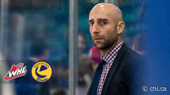 Love accepts head coaching role of Calgary Flames' AHL affiliate – CHL - Canadian Hockey League