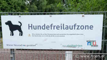 Neunkirchen - Hundezone: Pläne sind vorerst vom Tisch - NÖN.at