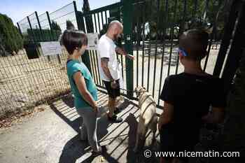 Le caniparc d'Antibes ferme seulement 16 mois après son ouverture, colère des usagers