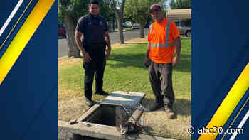 Madera police, city rescue kitten trapped in drain pipe