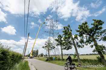 Versterking Limburgse hoogspanningslijn stap naar Europees stroomnet - Het Nieuwsblad