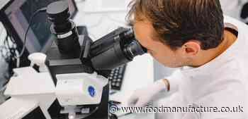 Nestlé's alt-meat product sends signal to global food sector