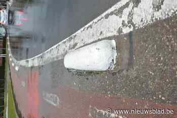 Fietsster valt over varkensrug