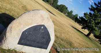 Saskatoon marks third Dutch elm disease case since 2015 - The Battlefords News-Optimist