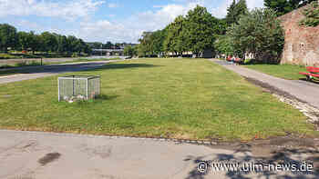 Donauwiese und Friedrichsau: Polizei und Stadt wollen für weniger Lautstärke und weniger Müll sorgen