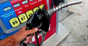 Scott Moe hints at court battle after feds reject Saskatchewan’s carbon tax plan