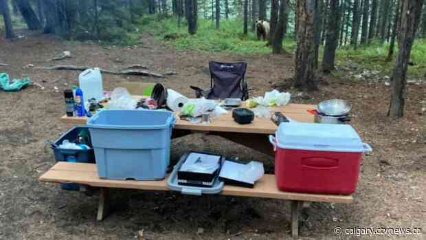 Bear feasting on campers' food prompts warning at Spray Lakes West Campground
