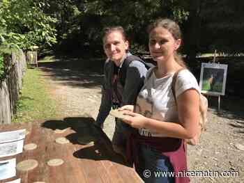 "Dès qu’on a su que c’était ouvert, on a foncé": le parc Alpha a accueilli ses premiers visiteurs depuis Alex