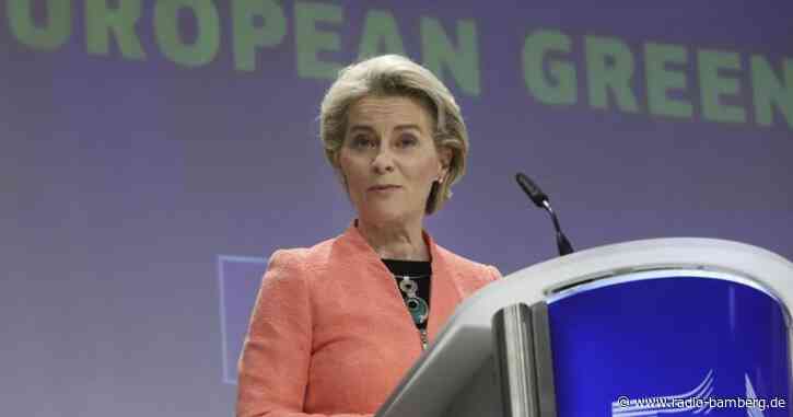 Klimaschutz gibt’s nicht umsonst: Neuer EU-Plan für CO2-Ziel