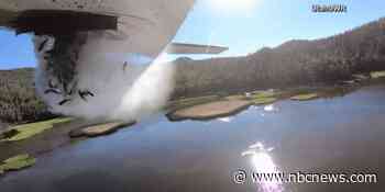 Video shows thousands of fish falling from the sky as Utah lakes restocked by airdrop