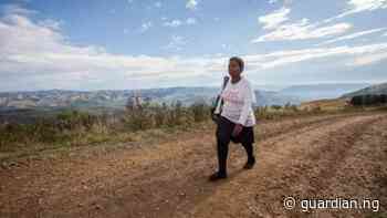 Coronavirus: Urgently safeguard access to healthcare, medicines as social unrest deepens in South Africa - Guardian