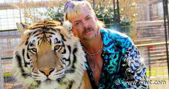 Don't expect to see Nicolas Cage as Joe Exotic the Tiger King any time soon     - CNET
